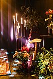 GEDANKEN GARTEN