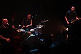 The Peacocks (CH), Blue Rockin' (D)