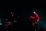 The Peacocks (CH), Blue Rockin' (D)