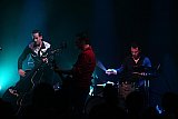 The Peacocks (CH), Blue Rockin' (D)
