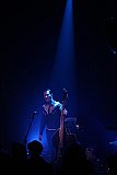 The Peacocks (CH), Blue Rockin' (D)