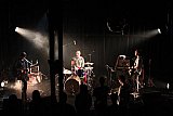 Sparrow And The Workshop (SCO)