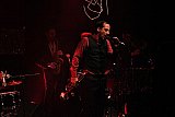 King Pepe & Le Rex (BE)