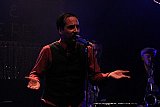King Pepe & Le Rex (BE)