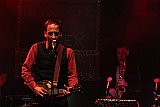 King Pepe & Le Rex (BE)